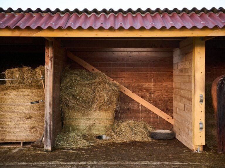 MAXI-BOIS_DC-GH5M2_048